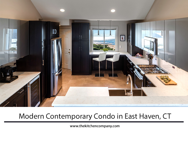 modern contemporary condo kitchen